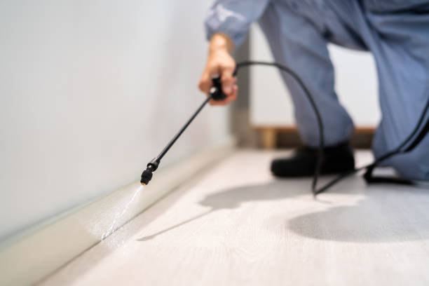 Bed Bug Pre-Treatment Preparation Assessment in Eddyville