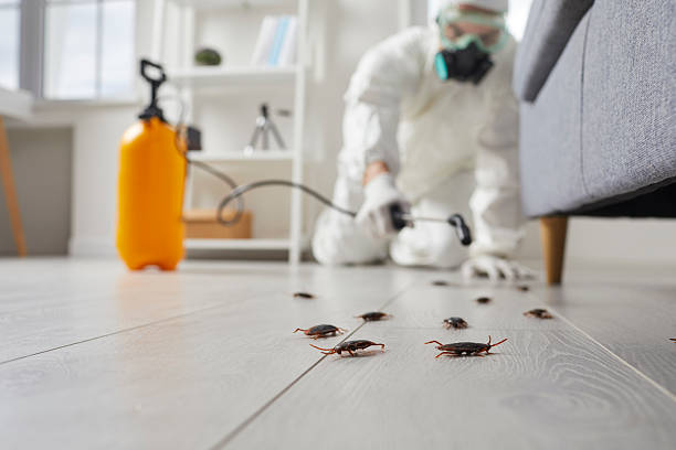 Post-Treatment Bed Bug Interceptor Monitoring in Eddyville