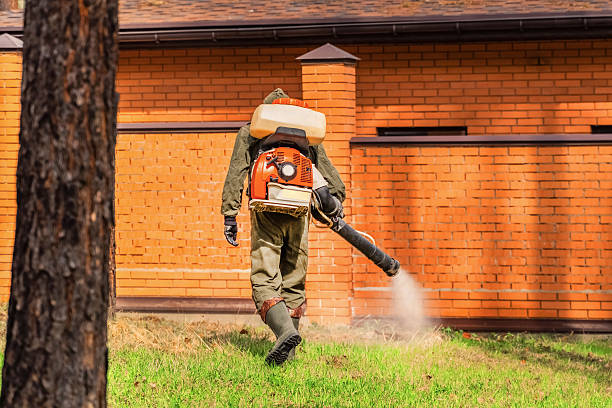 Bed Bug Clearance Verification and Documentation in Eddyville